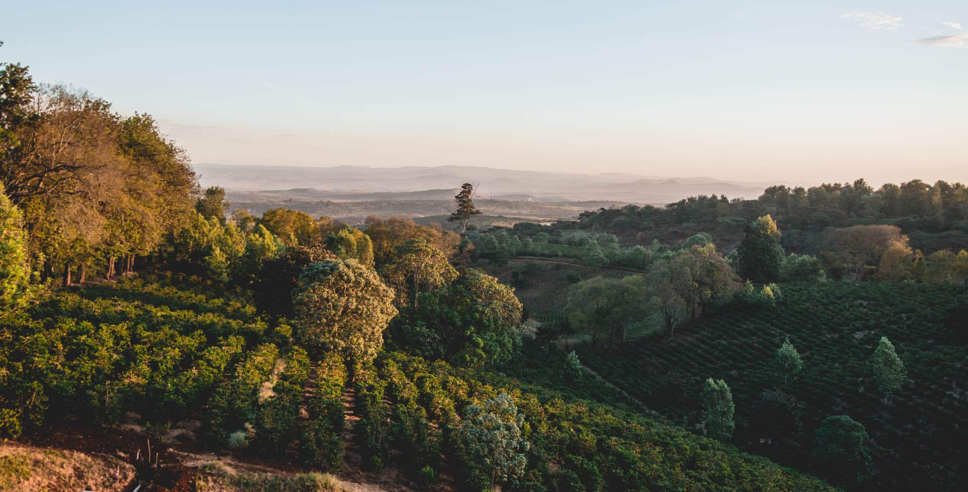 Country Profile: Tanzania