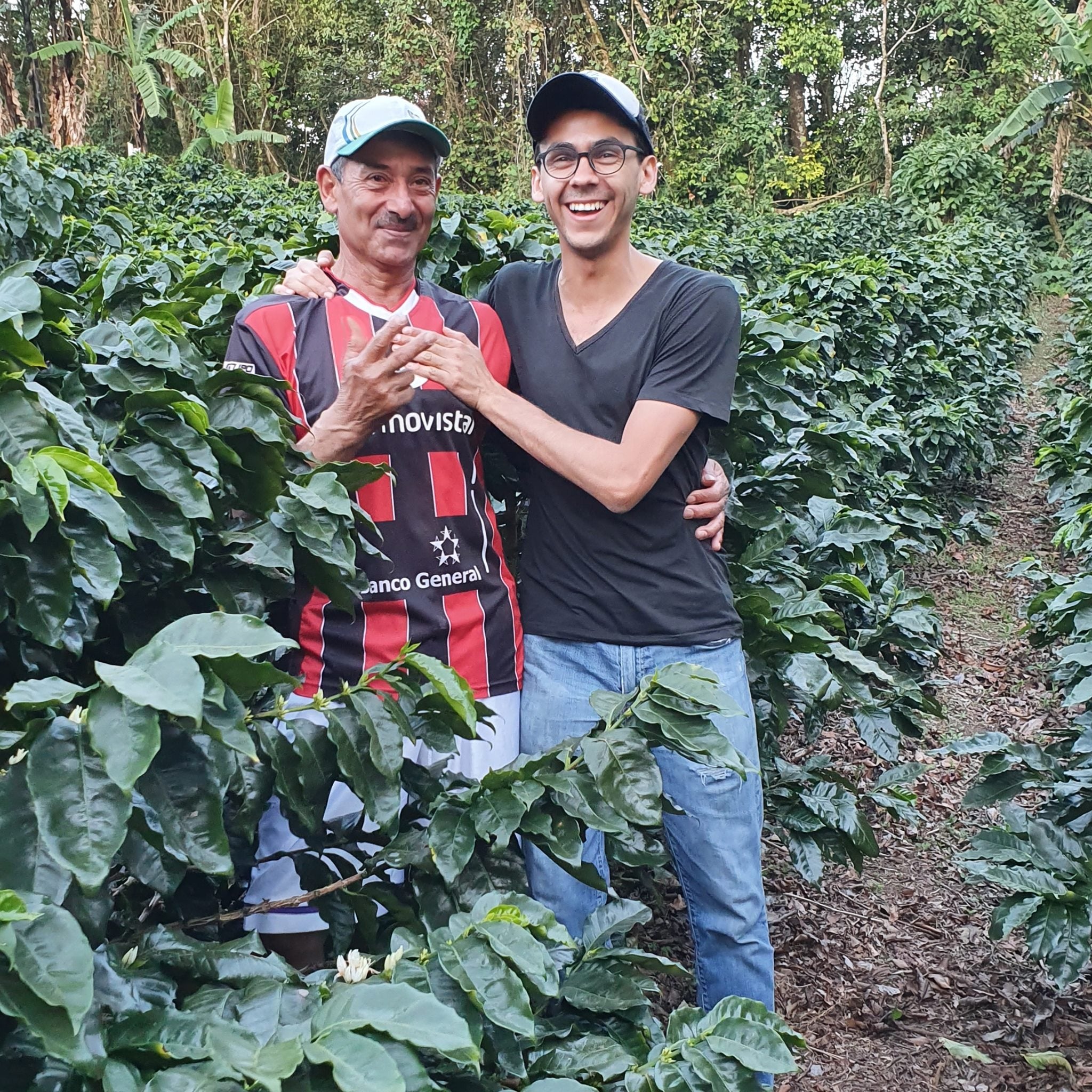 Introducing: Planting Costa Rica