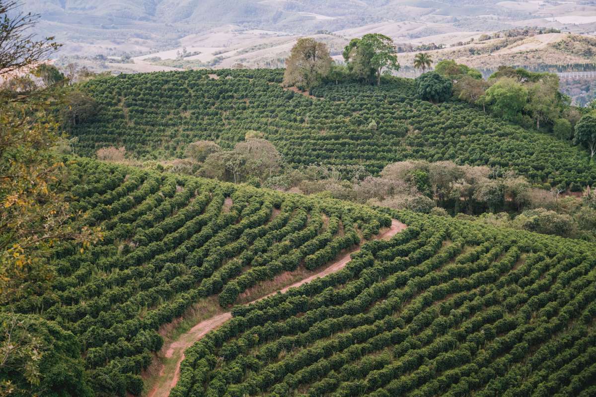 Country Profile: Brazil