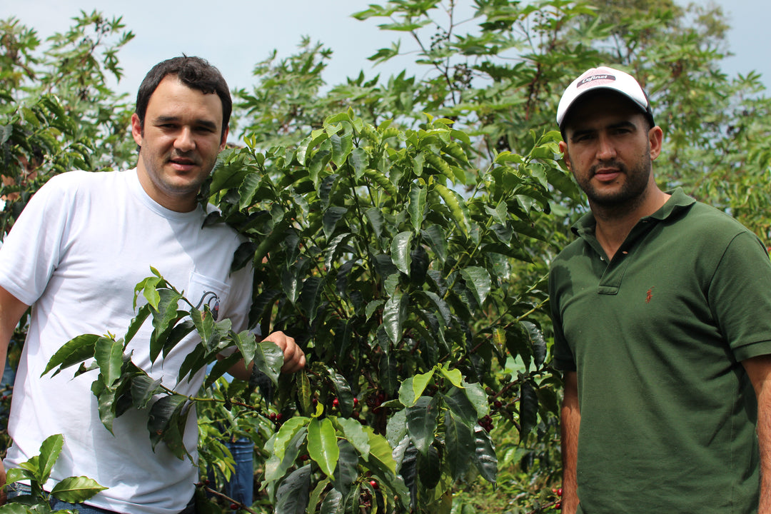How Cofinet Are Supporting The Specialty Coffee Industry
