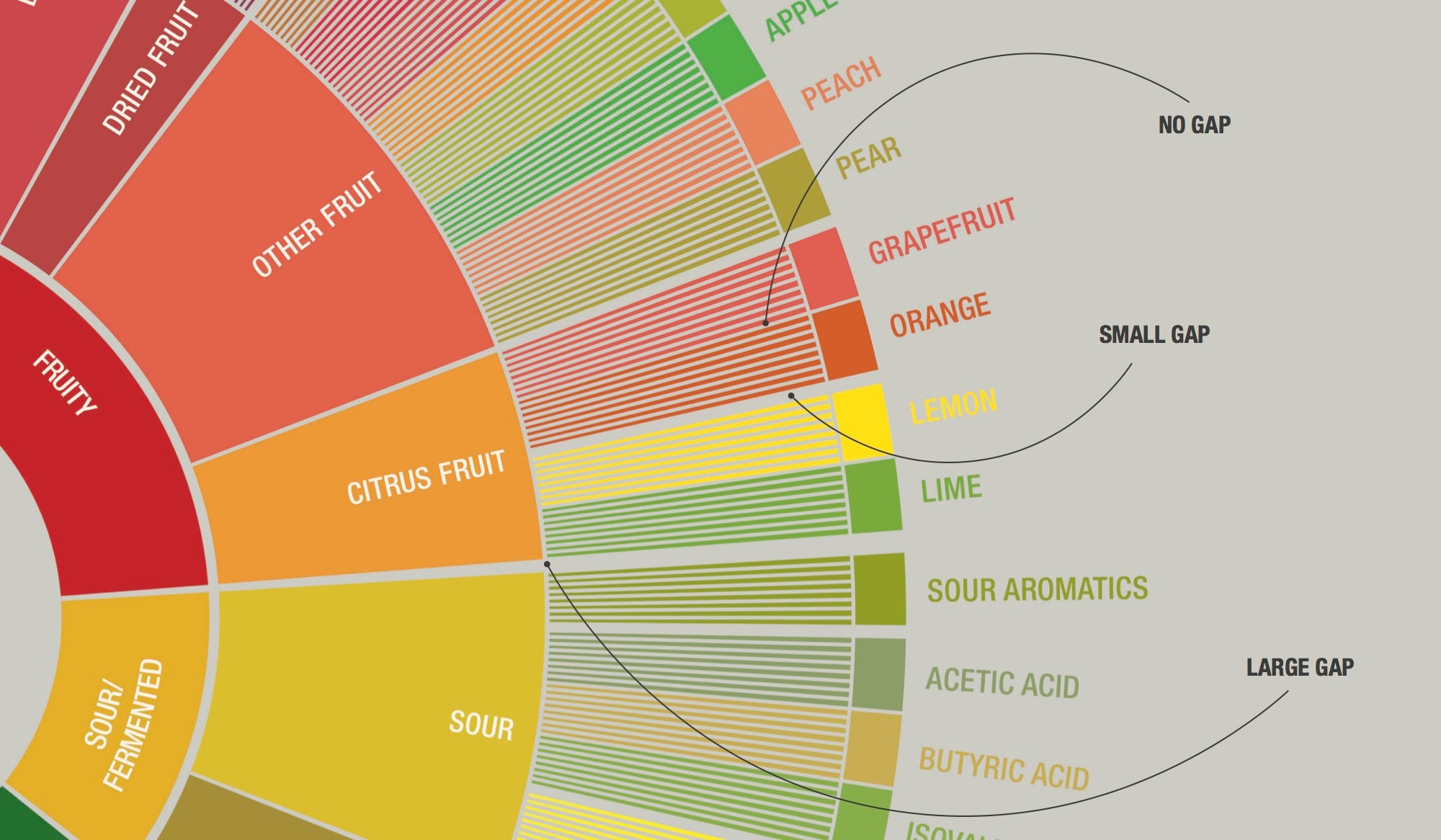 A Beginner’s Guide To Coffee Tasting Terminology