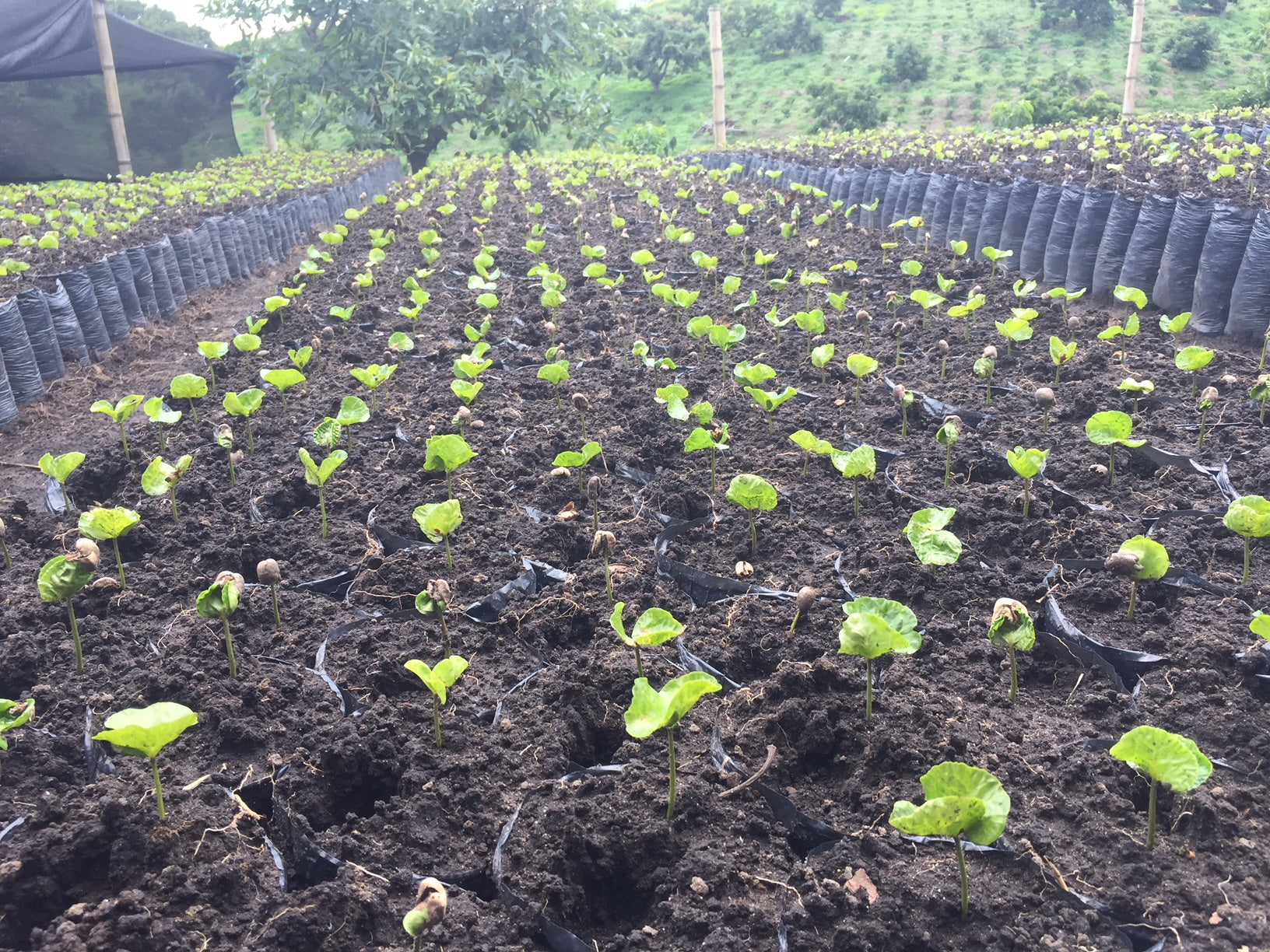 Country Profile: Colombia