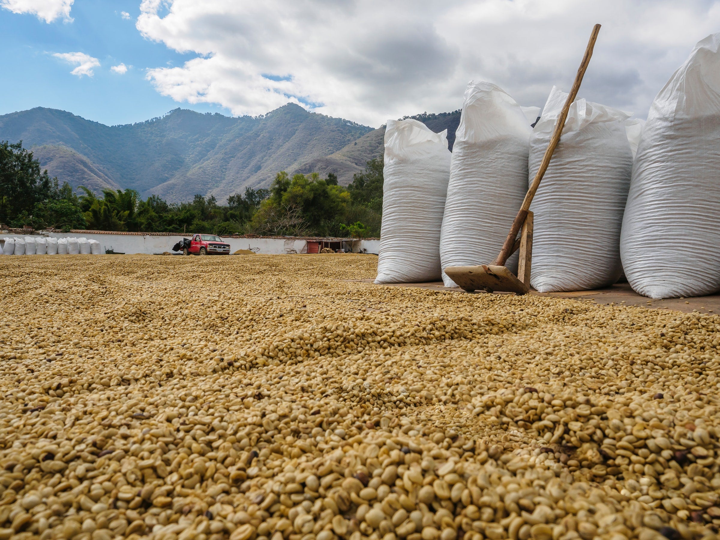 Country Profile: Guatemala