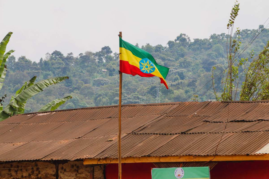 Country Profile: Ethiopia