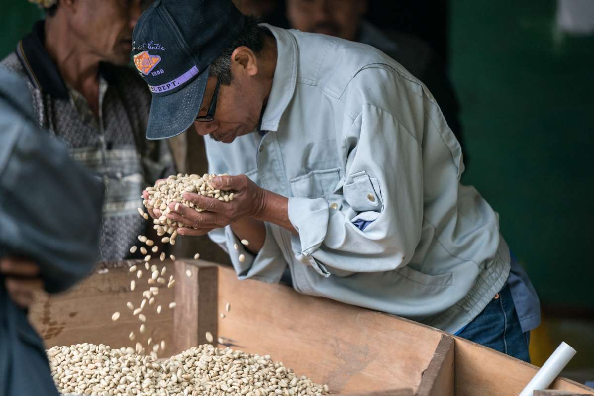 Country Profile: Indonesia