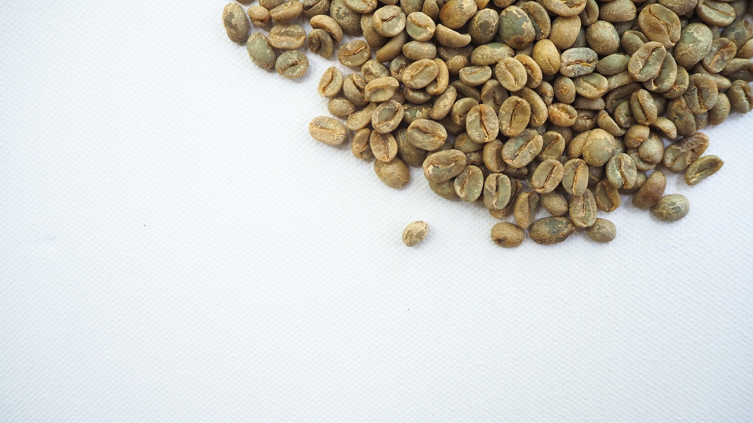 The Raw Coffee Bean