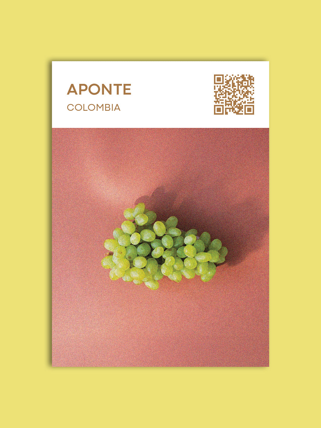 Aponte