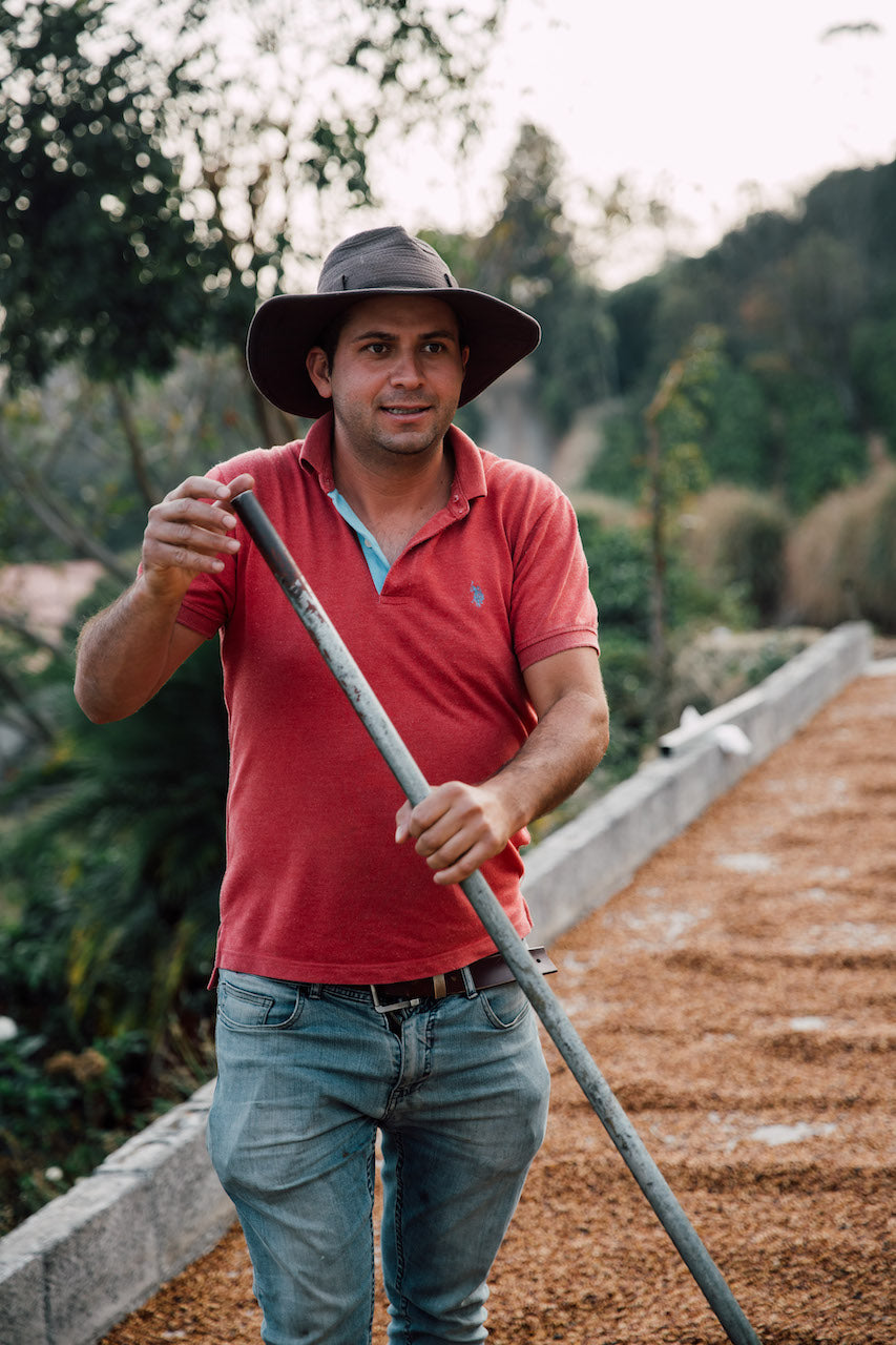 Francisco Arrieta drying coffee