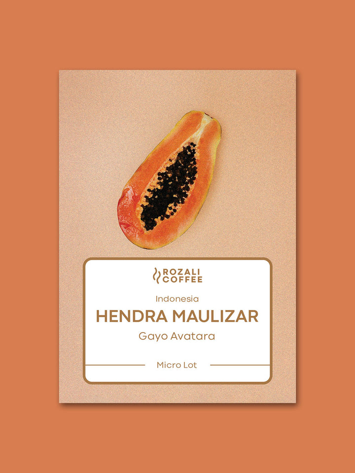 Hendra Maulizar