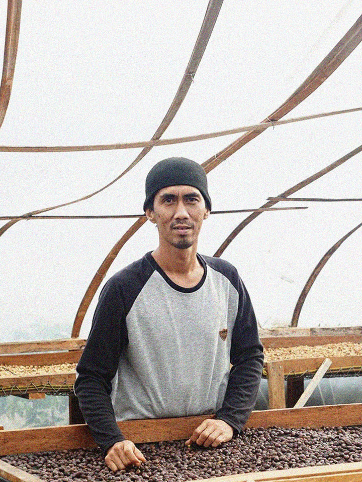 Hendra Maulizar