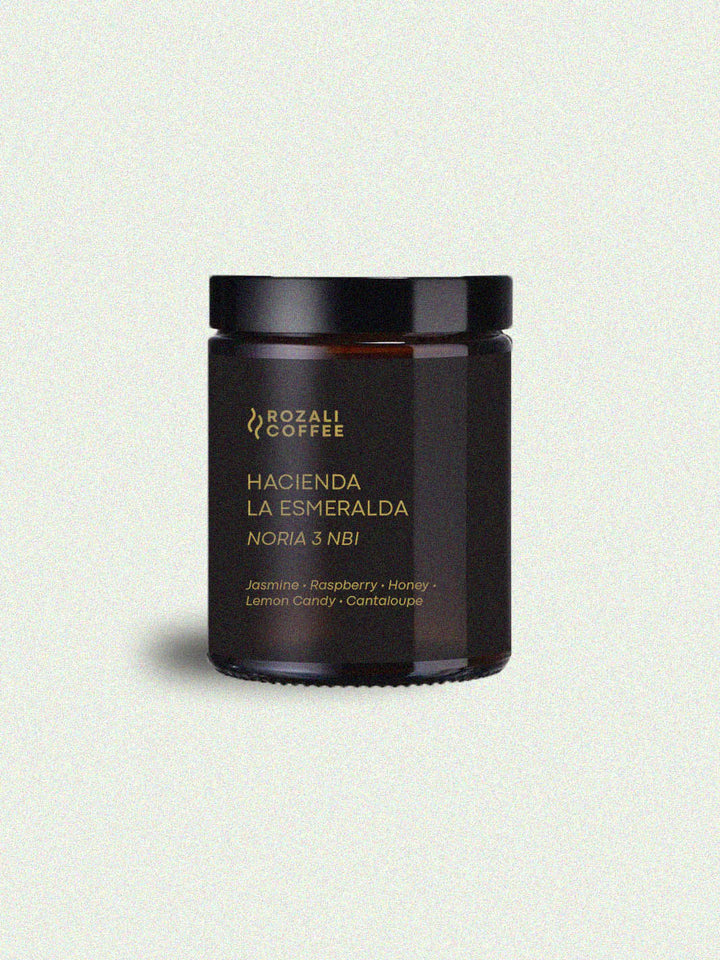 Hacienda La Esmeralda [Noria 3 NBI]