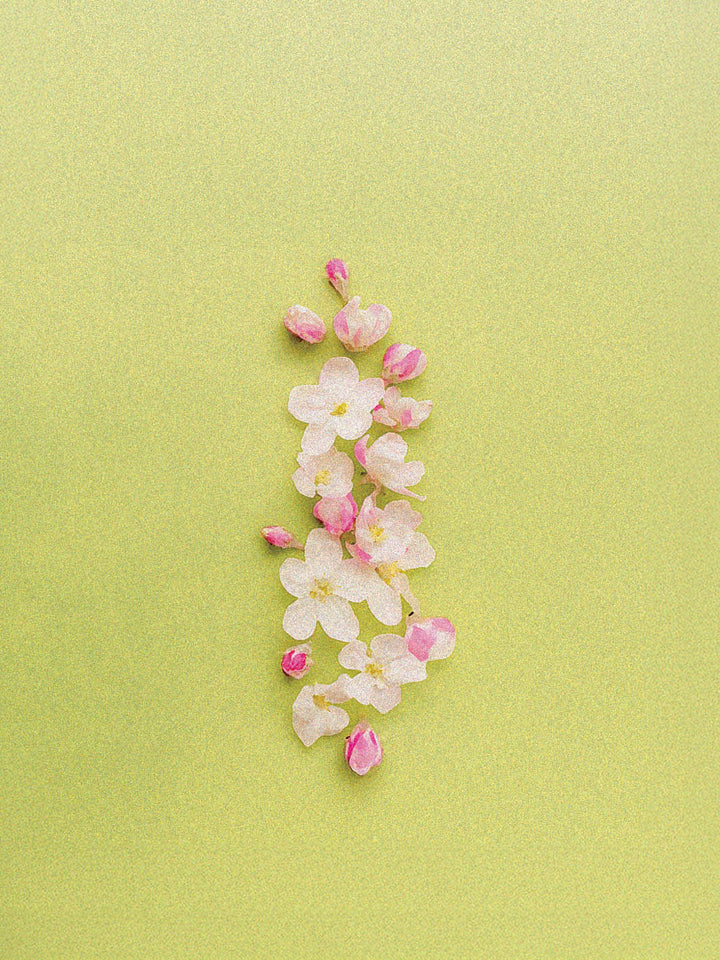 Las Lajas [Black Diamond]