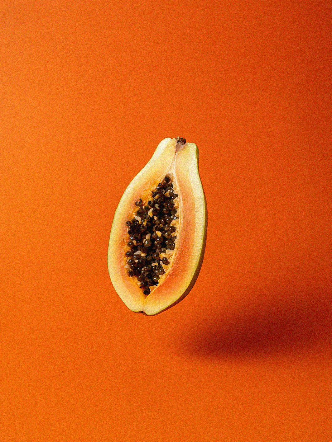 Luis Aníbal Calderón [Geisha Queen]