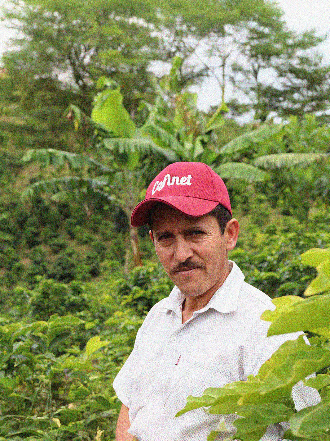 Luis Aníbal Calderón [Geisha Queen]